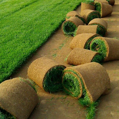 和田人造草坪